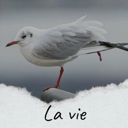 Album cover of La vie