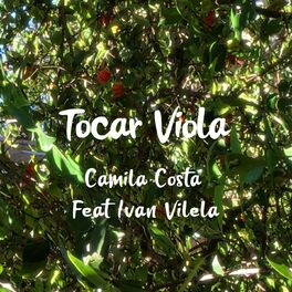 Album cover of Tocar Viola