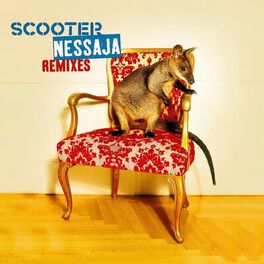 Album cover of Nessaja (Remixes)
