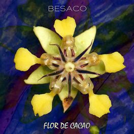 Album cover of Flor de cacao