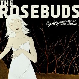 Album cover of Night of the Furies