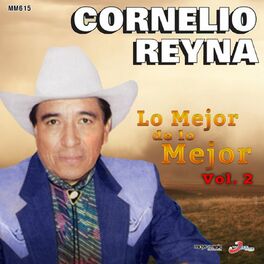 Album cover of Lo Mejor De Lo Mejor, Vol. 2