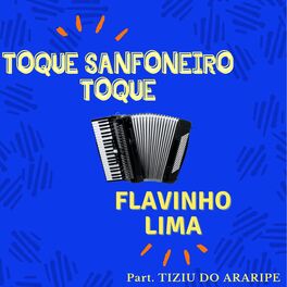 Album cover of Toque Sanfoneiro Toque