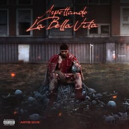 Album cover of ASPETTANDO LA BELLA VITA