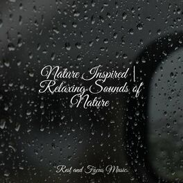 Album cover of Nature Inspired | Relaxing Sounds of Nature