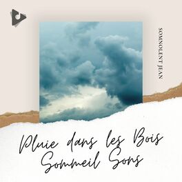Album picture of Pluie dans les Bois Sommeil Sons