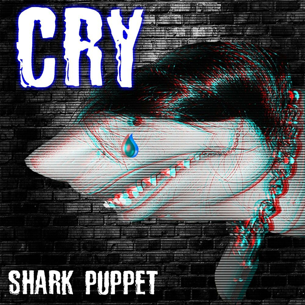 Акула альбомы. The Puppet Cry. Футболка Shark Puppet. Shark песня. Shark Puppet на русском.