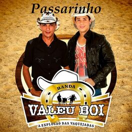 Album cover of Passarinho