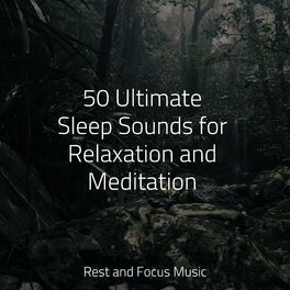 Album cover of 50 Ultimate Sleep Sounds for Relaxation and Meditation