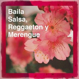 Album cover of Baila Salsa, Reggaeton y Merengue