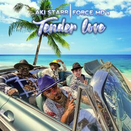 Album cover of Tender Love