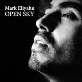 Album picture of Open Sky