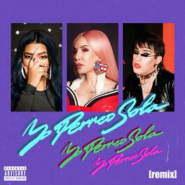 Album picture of Yo Perreo Sola (Remix)