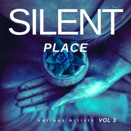 Album cover of Silent Place, Vol. 3