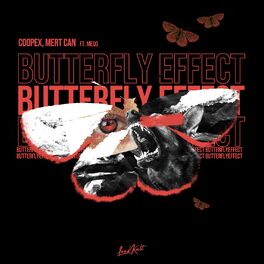 Album cover of Butterfly Effect