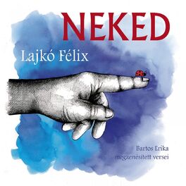 Album cover of Neked (Bartos Erika Megzenésített Versei)