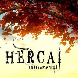 Album cover of Hercai