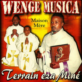 Album cover of Terrain eza miné