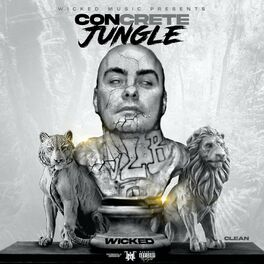 Album cover of Concrete Jungle (Radio Edit)