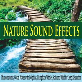 Album cover of Nature Sound Effects: Thunderstorms, Ocean Waves With Dolphins, Humpback Whales, Rain and Wind for Deep Relaxation