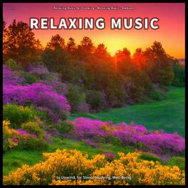 Album cover of ! ! ! ! Relaxing Music to Unwind, for Sleep, Studying, Well-Being