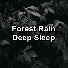 Deep Dark Forest Graphic · Creative Fabrica