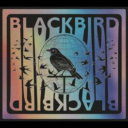 Album cover of Blackbird