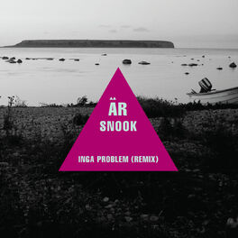 Album cover of Inga problem (Remix)