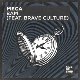 Album cover of 2AM (feat. Brave Culture)