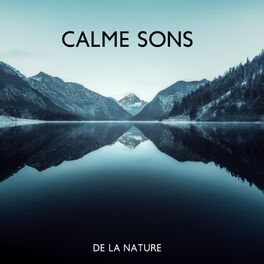 Album cover of Calme sons de la nature: Musique relaxante pour corps et esprit