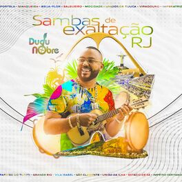 Album cover of Samba De Exaltação