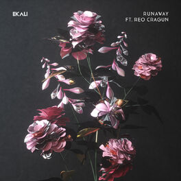 Album cover of Runaway (feat. Reo Cragun)