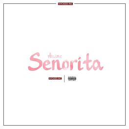 Album cover of Señorita
