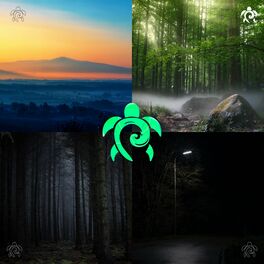 Album cover of Life is a Forest
