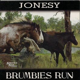 Album cover of Brumbies Run