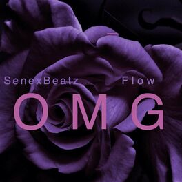 Album cover of OMG (feat. Flow)