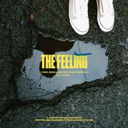 Album cover of The Feeling (irsl Remix)