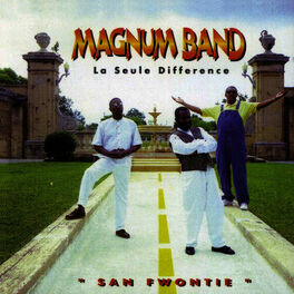 Album cover of La Seule Differene 