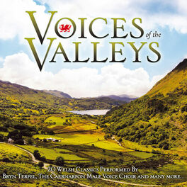 Album cover of Voices of the Valleys