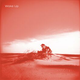 Album cover of Wake Up