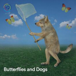 Album cover of Butterflies and Dogs