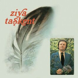 Album cover of Türk Sanat Müziğinden Seçmeler, Vol. 2