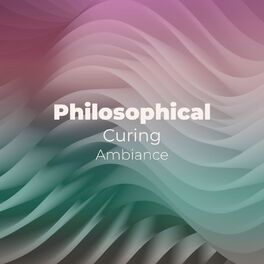 Album cover of zZz Philosophical Curing Ambiance zZz