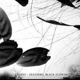 Album cover of Feathers, Black Flowers