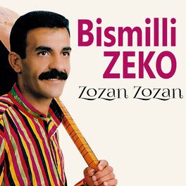 Album cover of Zozan Zozan