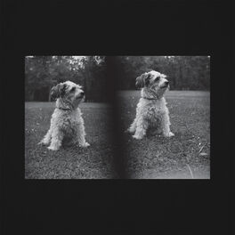 Album cover of Dance With Me / Slow Going