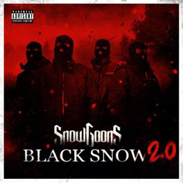 Album cover of Black Snow (2.0 Edition)
