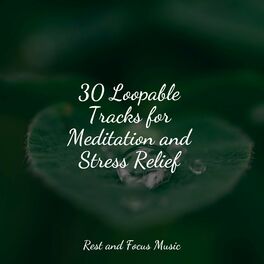 Album cover of 30 Loopable Tracks for Meditation and Stress Relief