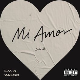 Album cover of Mi Amor (Lado B) (feat. Valso)