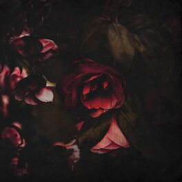 Album cover of Flowers